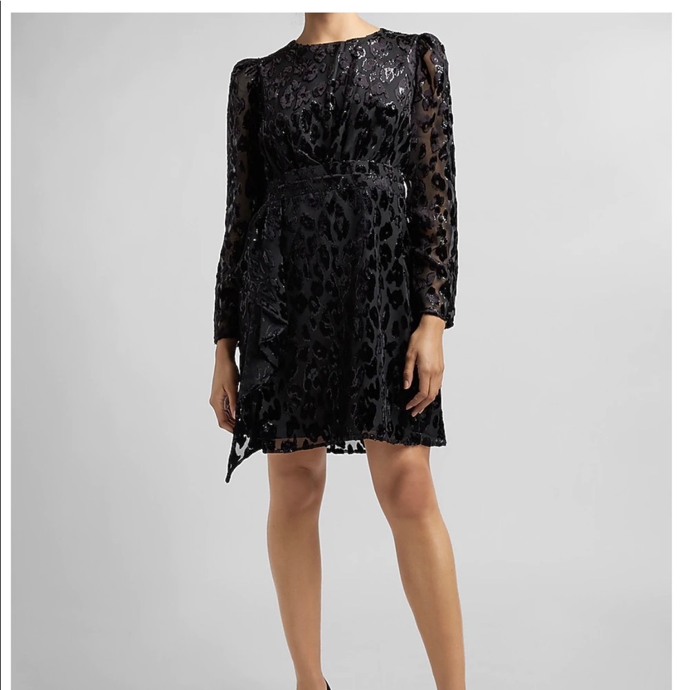 Velvet Burnout Ruffle Dress